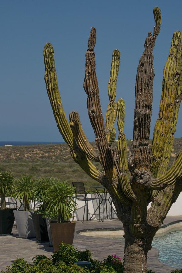 Vista La Ribera Hotel Exterior photo